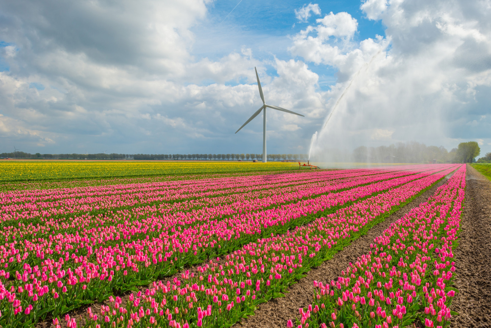 Home of Irrigation