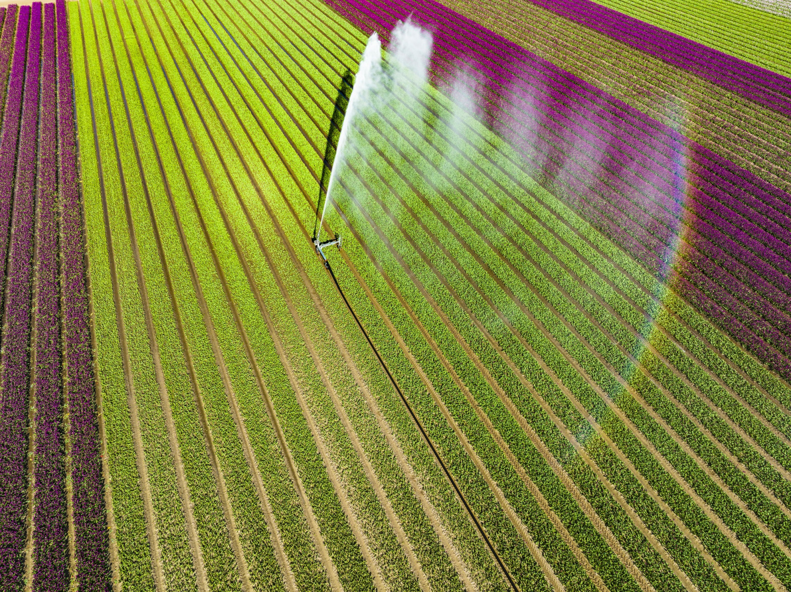 Home of Irrigation