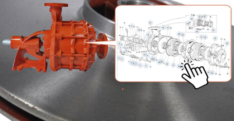 Ontdek, klik en bestel!